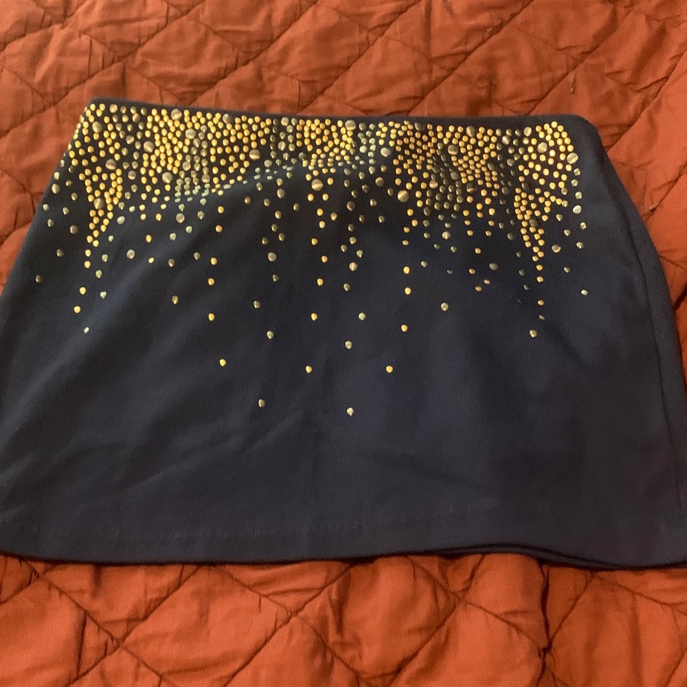 Lush Black Mini Skirt with Gold Details